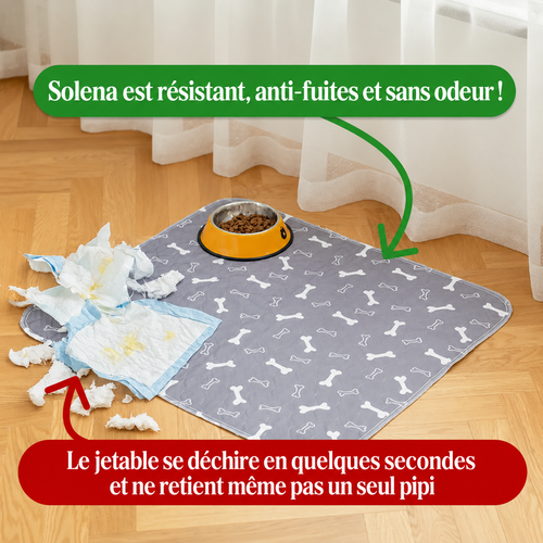 Tapis de propreté lavable pour chien