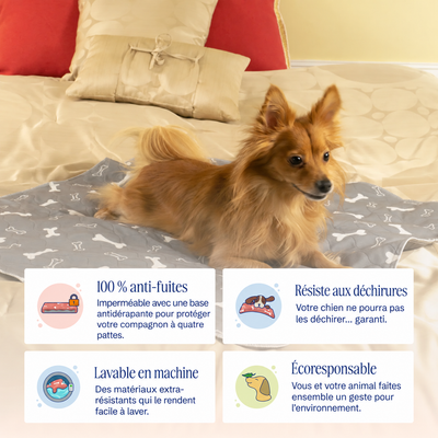 Tapis de propreté lavable pour chien