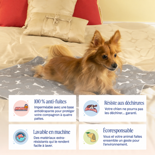 Tapis de propreté lavable pour chien