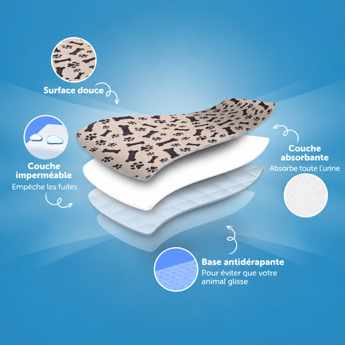 Tapis de propreté lavable pour chien