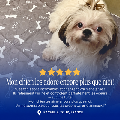 Tapis de propreté lavable pour chien