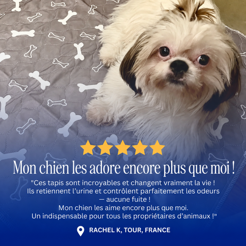Tapis de propreté lavable pour chien