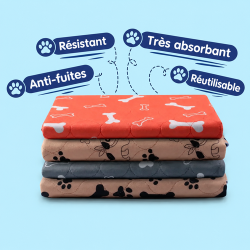 Tapis de propreté lavable pour chien