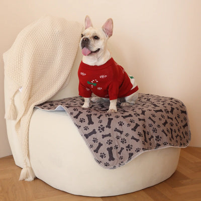 Tapis de propreté lavable pour chien