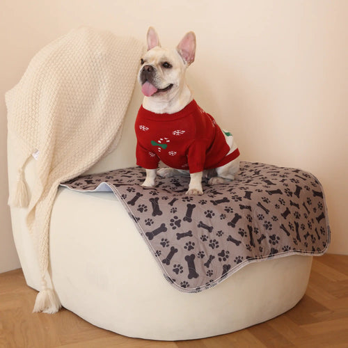 Tapis de propreté lavable pour chien