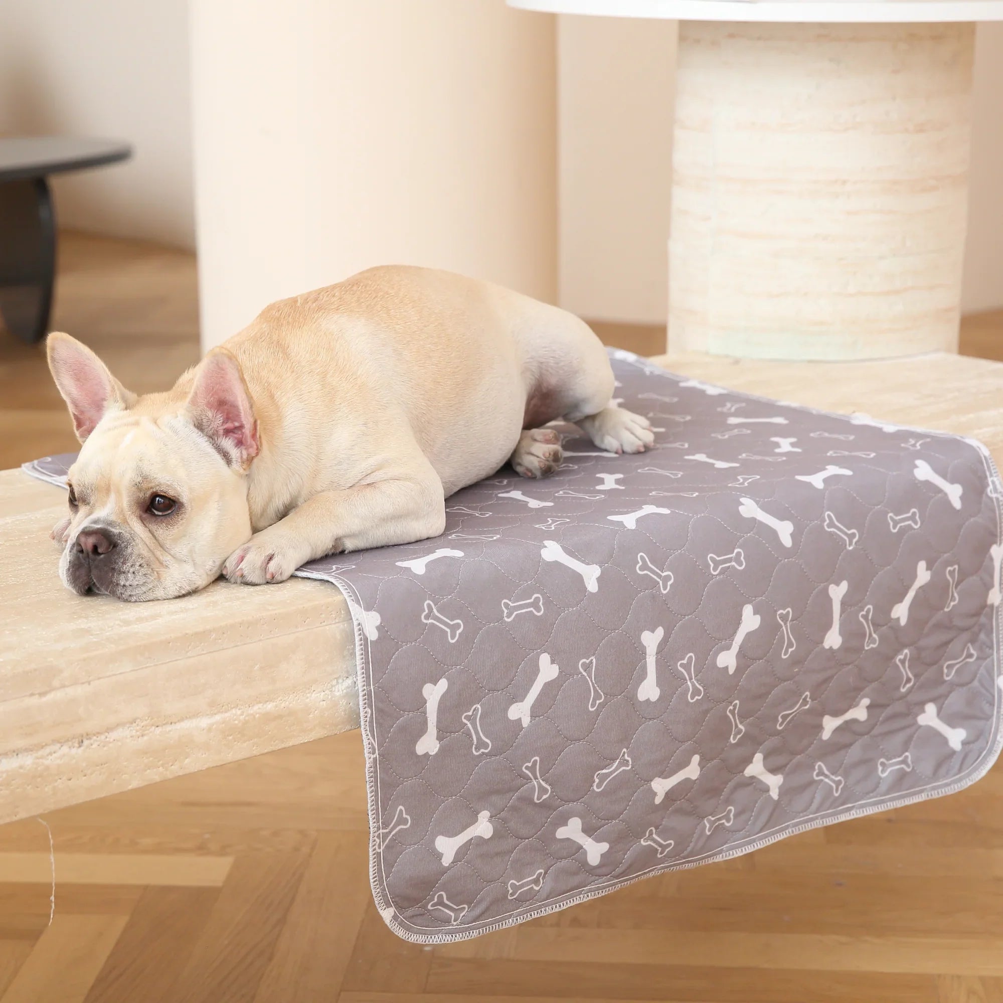 Tapis de propreté lavable pour chien