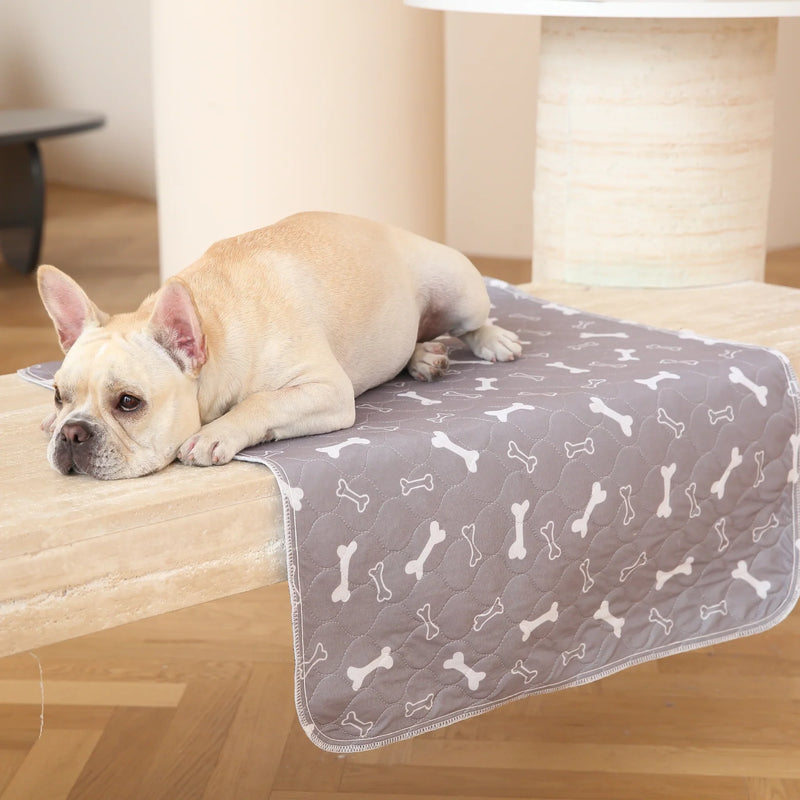 Le tapis de propreté lavable pour votre chien