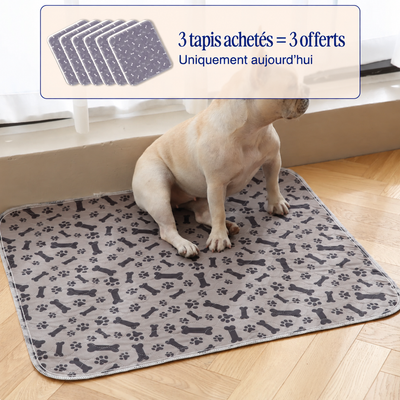 Tapis de propreté lavable pour chien